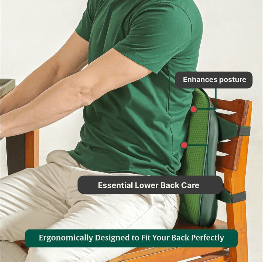 LowerEase Back Support Pillow Lumbar Back Support The White Willow