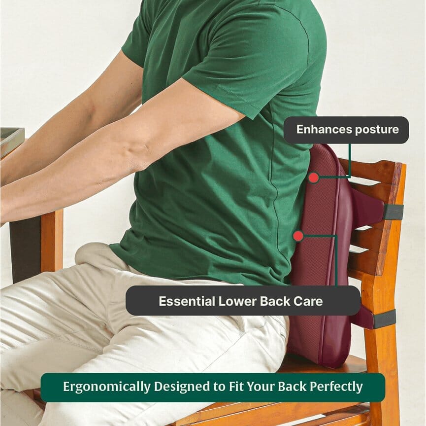 LowerEase Back Support Pillow Lumbar Back Support The White Willow