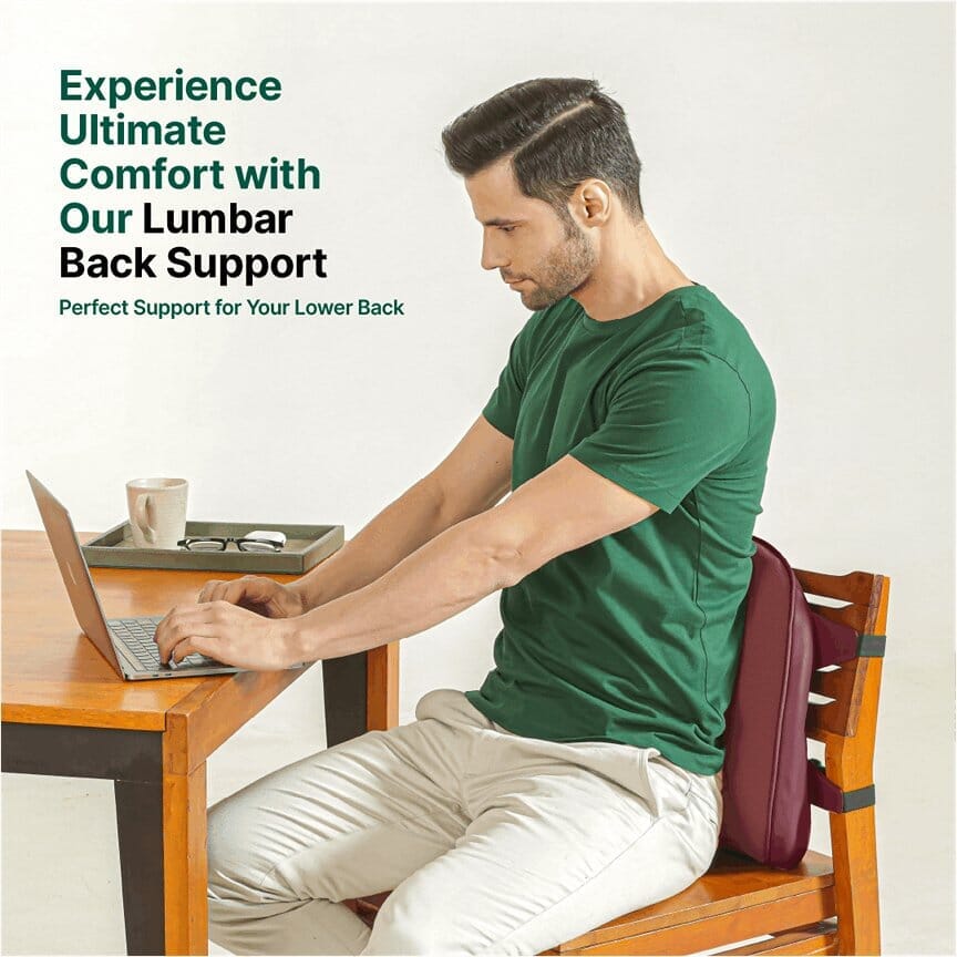 LowerEase Back Support Pillow Lumbar Back Support The White Willow