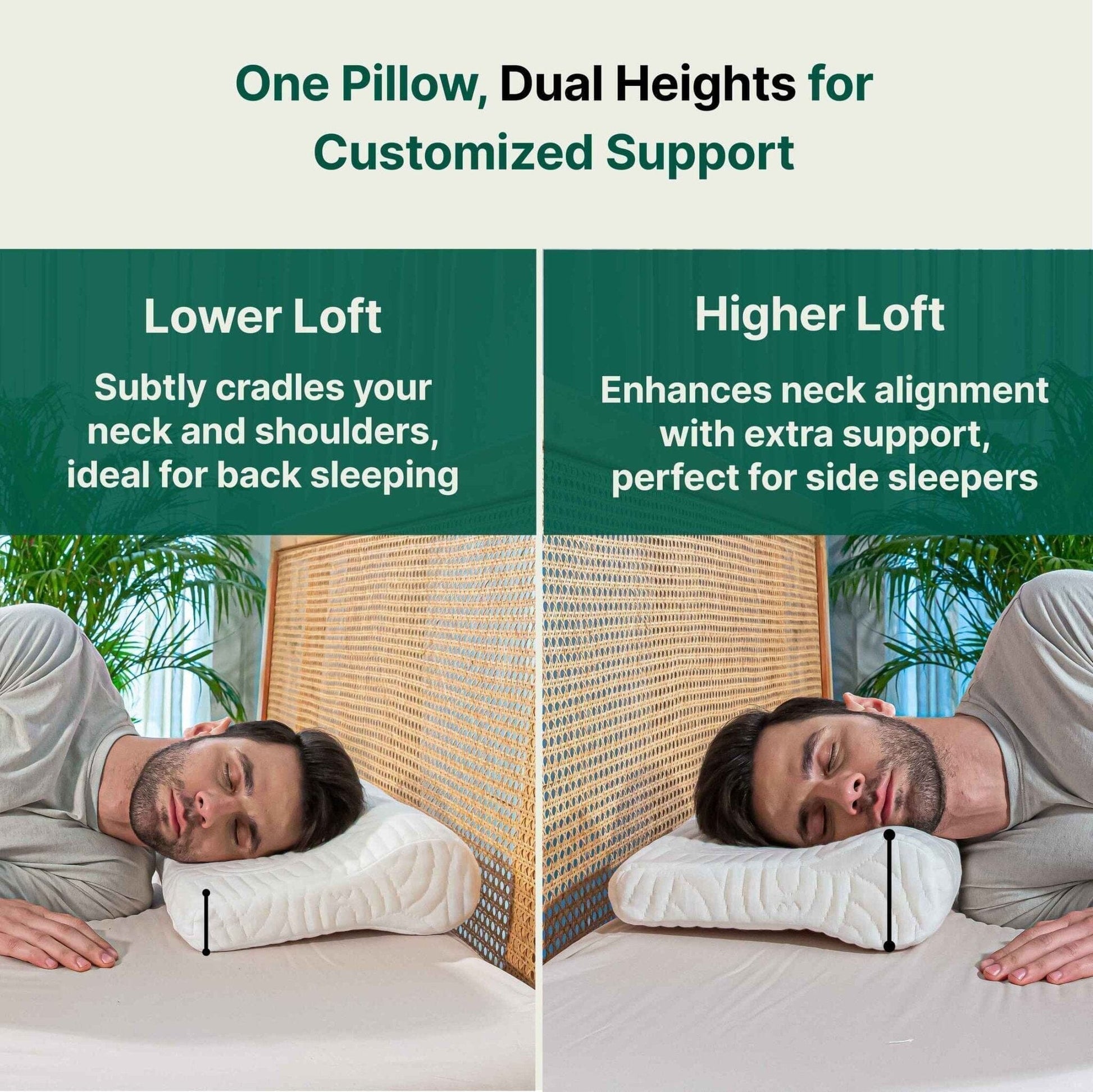 NeckFlex Dual Loft Cervical Alignment Pillow Contour Pillow The White Willow