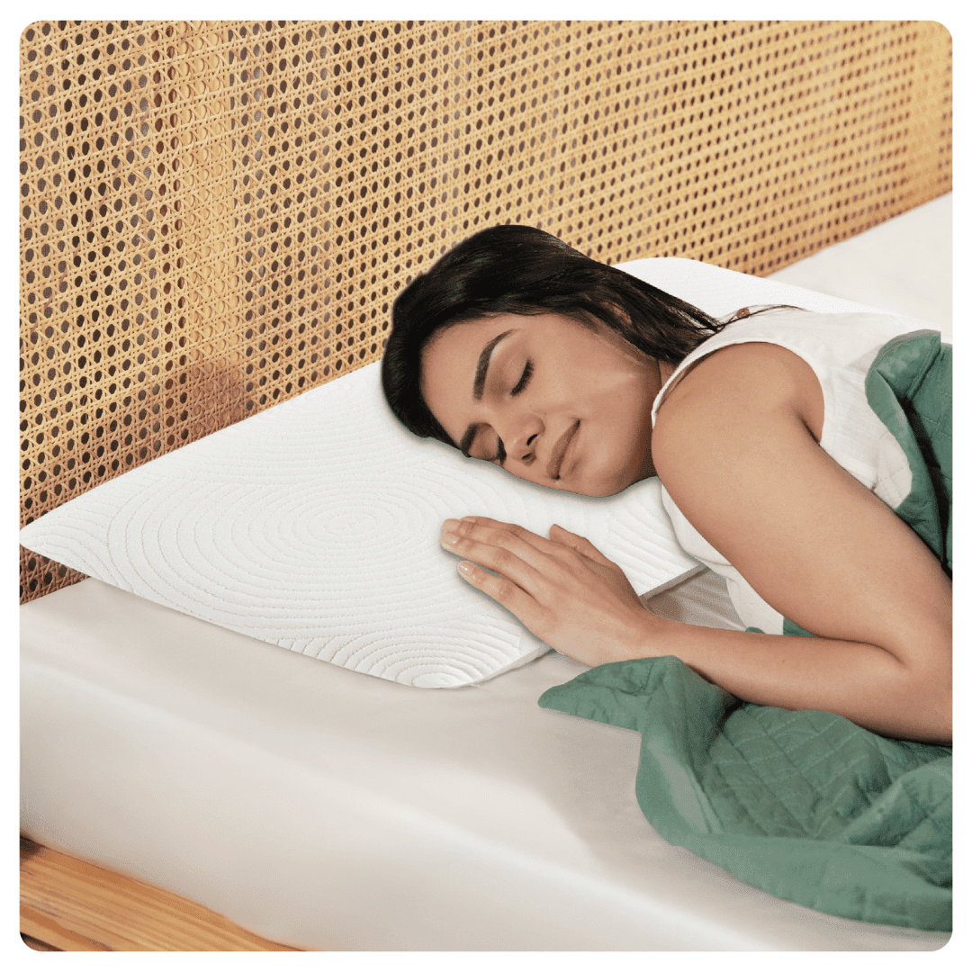 Original Pillow- Lunar Soft Regular Pillow The White Willow
