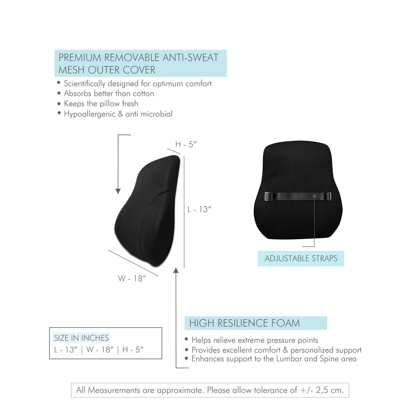 Perch - Work From Home Combo - HR Foam Lumbar Backrest Pillow & Donut Shaped Seat Cushion - Medium Firm Combo-Back-Seat The White Willow
