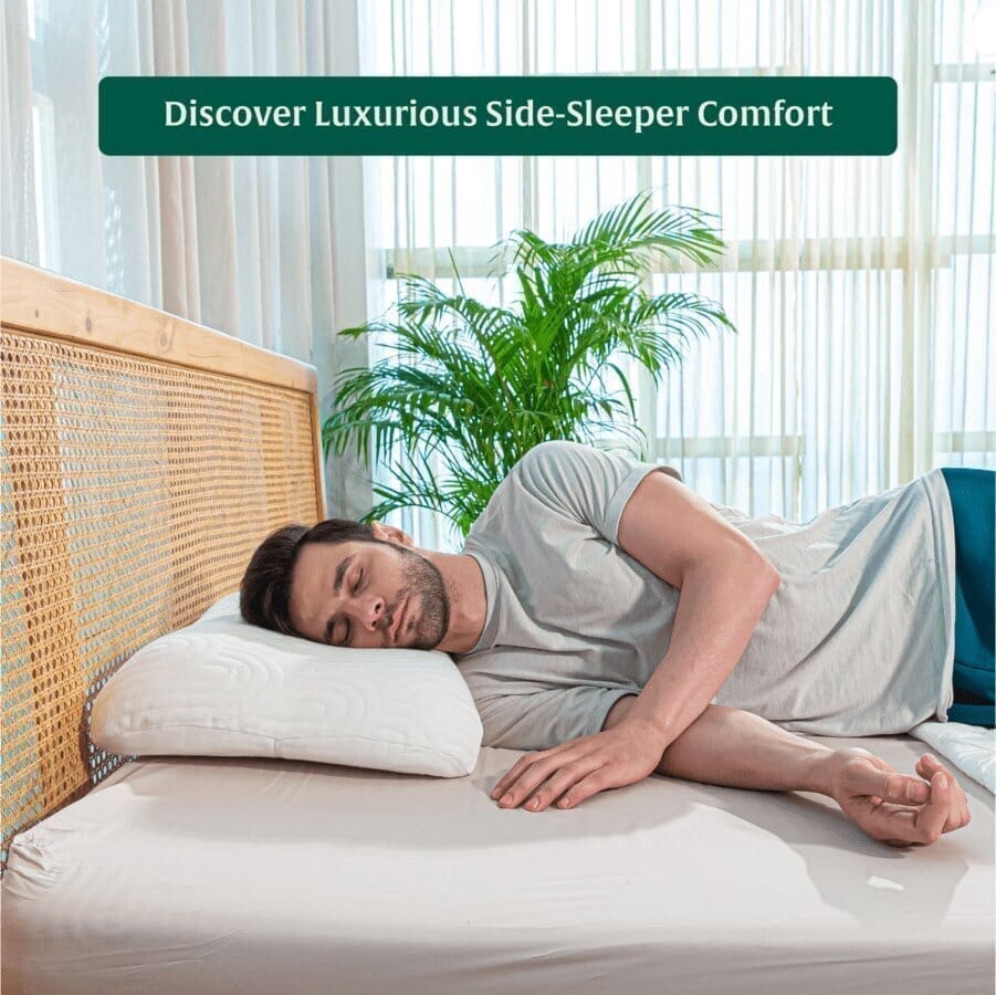 SereneSleeper Rest Easy Comfort Pillow Contour Pillow The White Willow