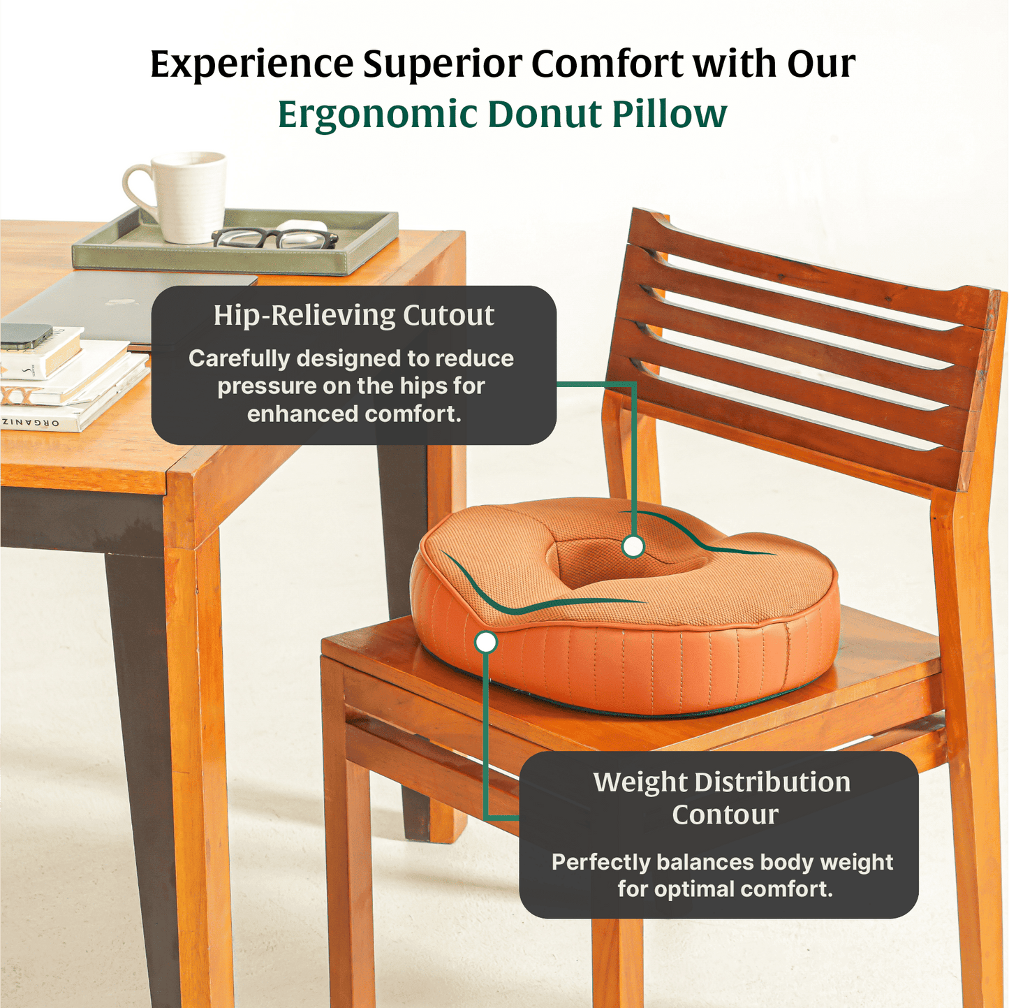 Sky - Donut Shaped Seat Cushion - Tailbone and Lumbar Support - Firm Seat Cushion The White Willow