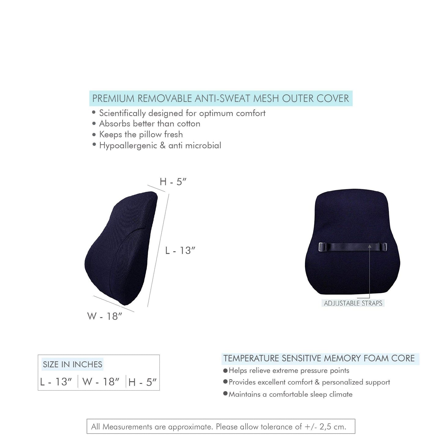Tootle - Car Combo - Memory Foam Cushions and Lumber Backrest Pillow - Medium Firm Combo-Back-Seat The White Willow