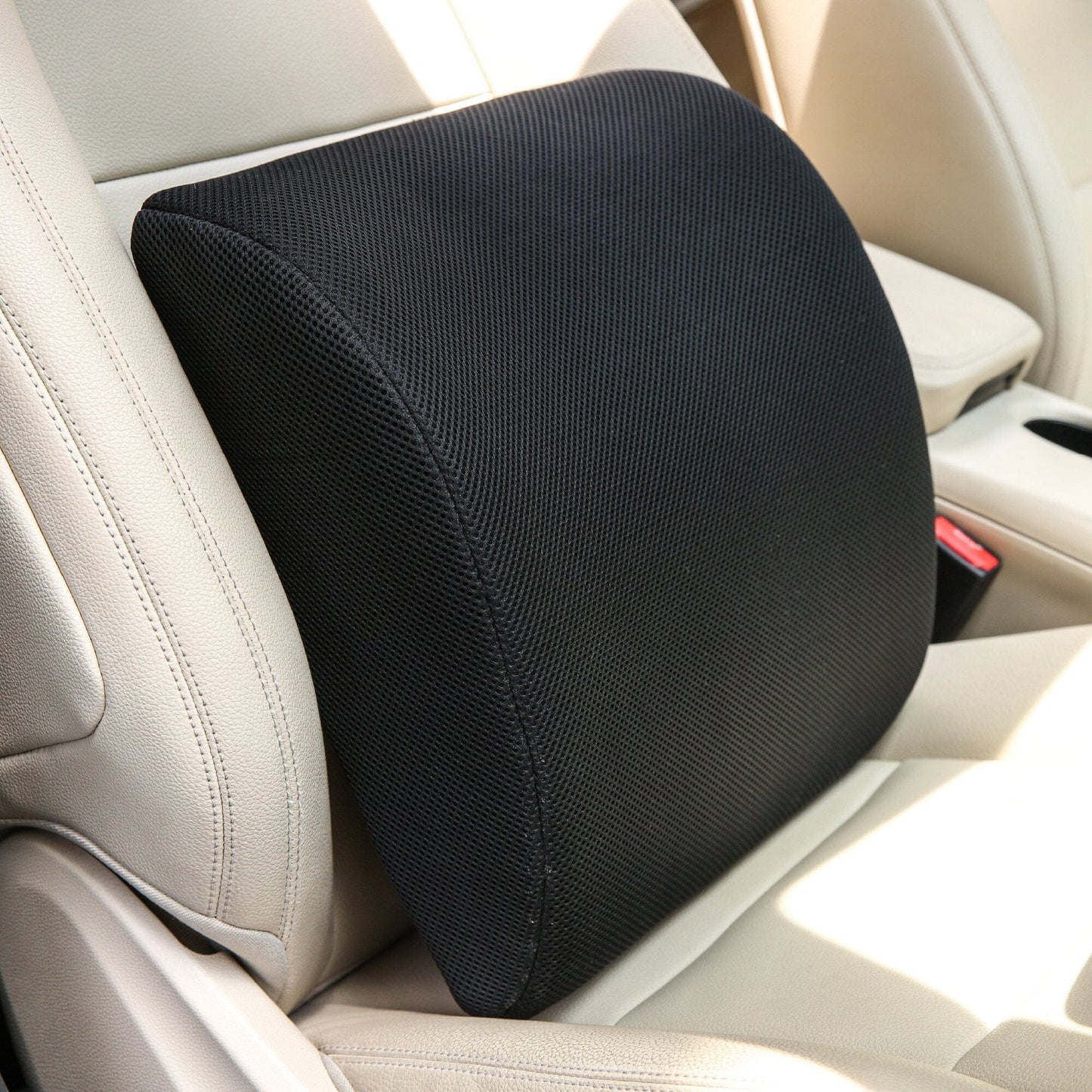 Emperor - Lumbar Backrest Pillow - Full Back Support - Firm Support The White Willow