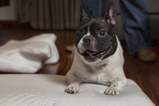 5 Things You Never Thought You Could Do With an Old Pillow