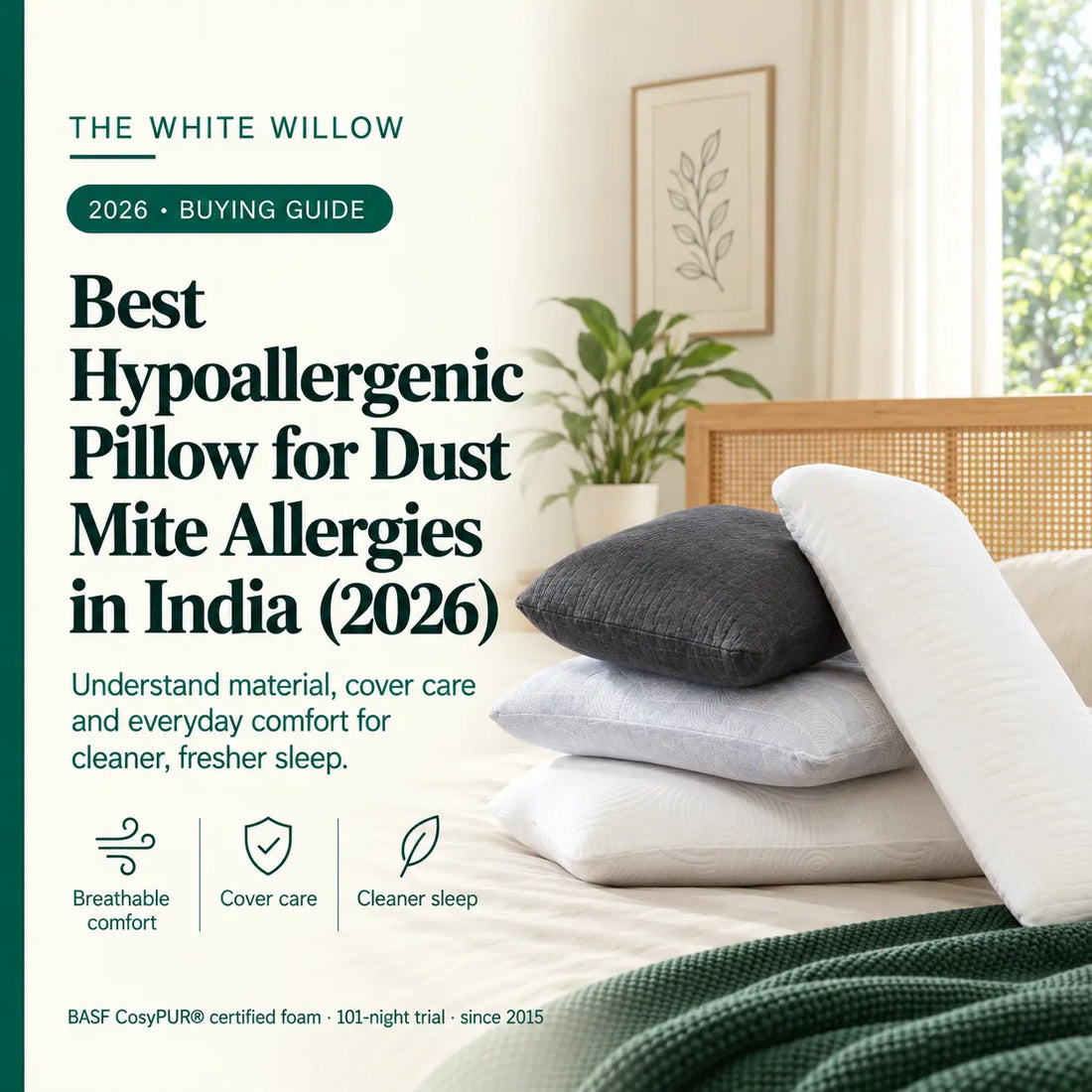 Best Hypoallergenic Pillow for Dust Mite Allergies in India (2026)