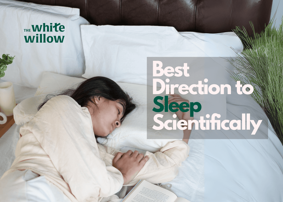 Best Direction to Sleep Scientifically - The White Willow