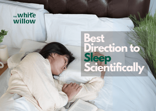 Best Direction to Sleep Scientifically - The White Willow