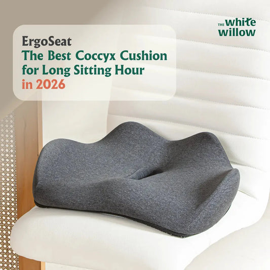 ErgoSeat The Best Coccyx Cushion for Long Sitting Hour in 2026