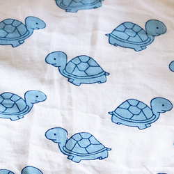 Blue Turtle