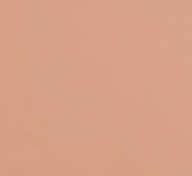 Rust Cotton Canvas