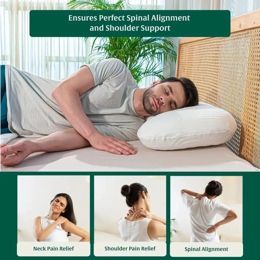 Eclipse Neck Comfort Pillow Contour Pillow The White Willow 