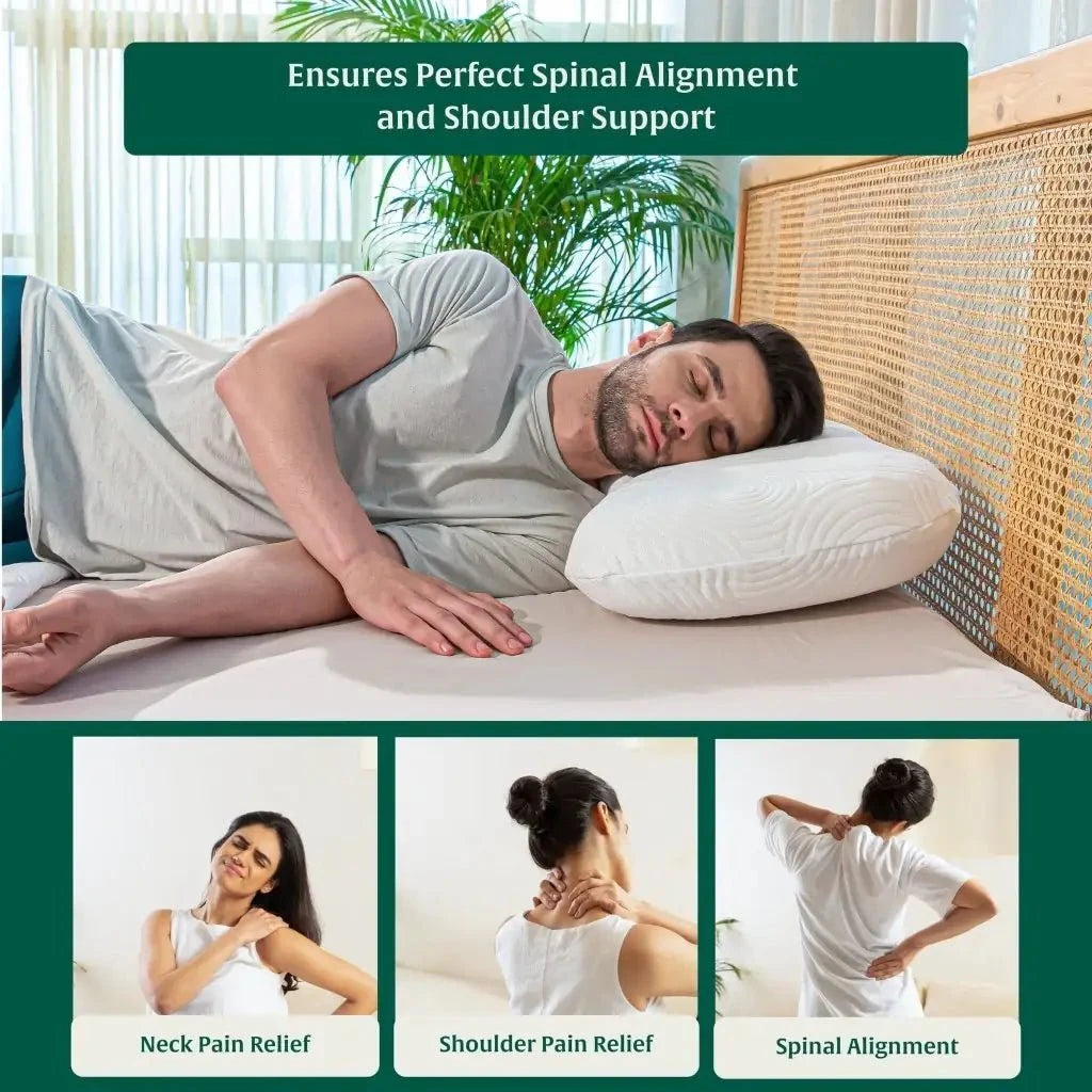 Eclipse Neck Comfort Pillow Contour Pillow The White Willow 