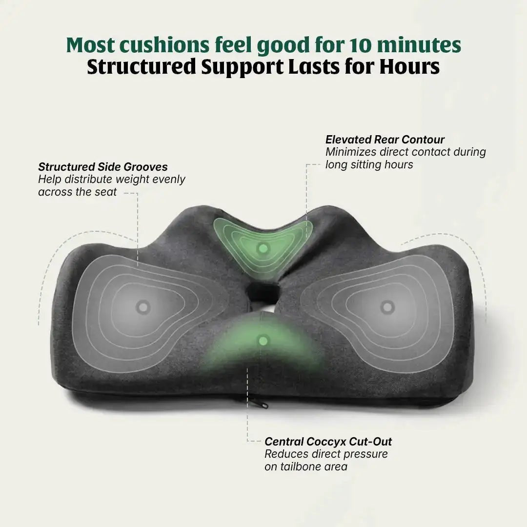 ErgoSeat Coccyx Cushion | Upgraded Structure for Long Sitting Support - Seat Cushion - The White Willow