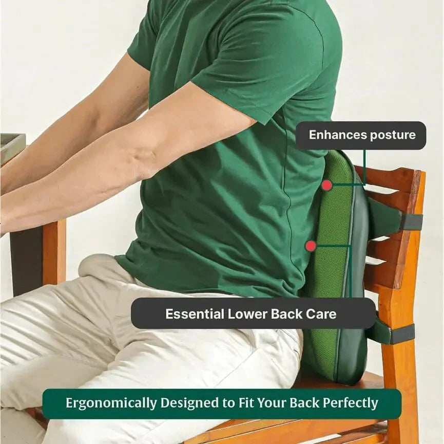 LowerEase Back Support Pillow Lumbar Back Support The White Willow 