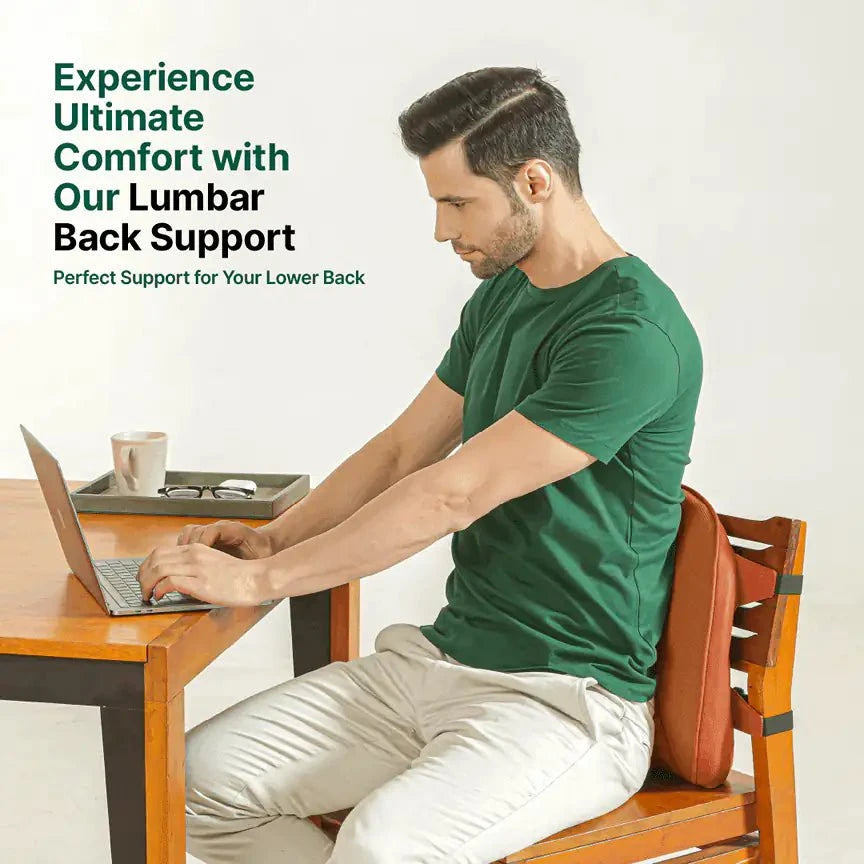 LowerEase Back Support Pillow Lumbar Back Support The White Willow 