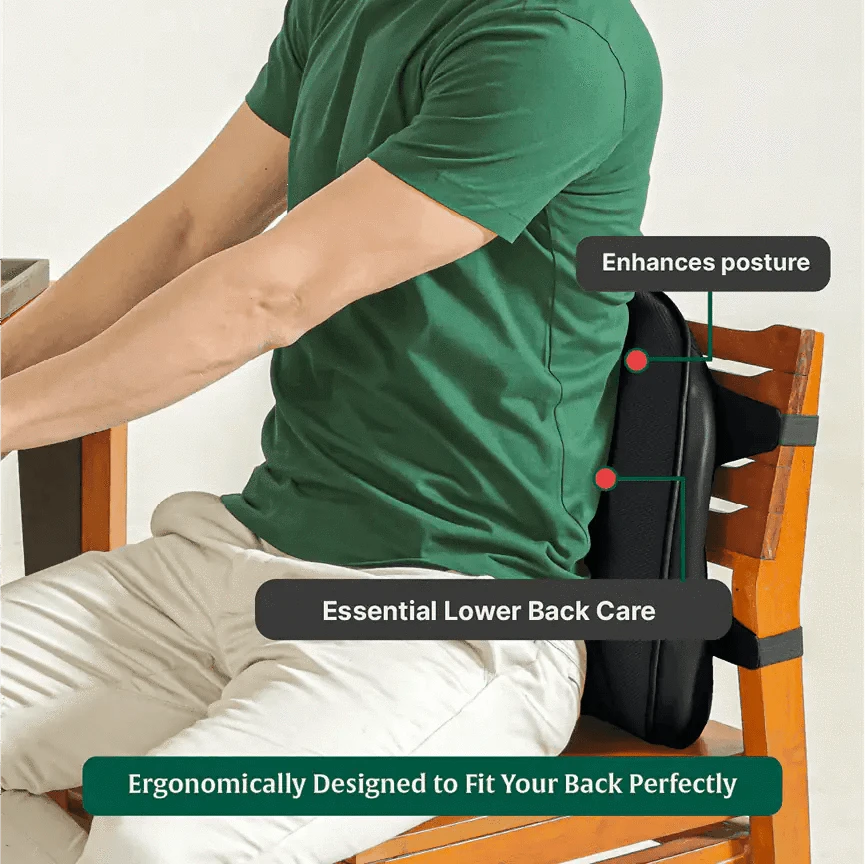 LowerEase Back Support Pillow Lumbar Back Support The White Willow 