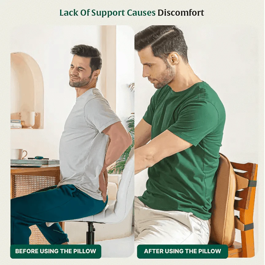 LowerEase Back Support Pillow Lumbar Back Support The White Willow 