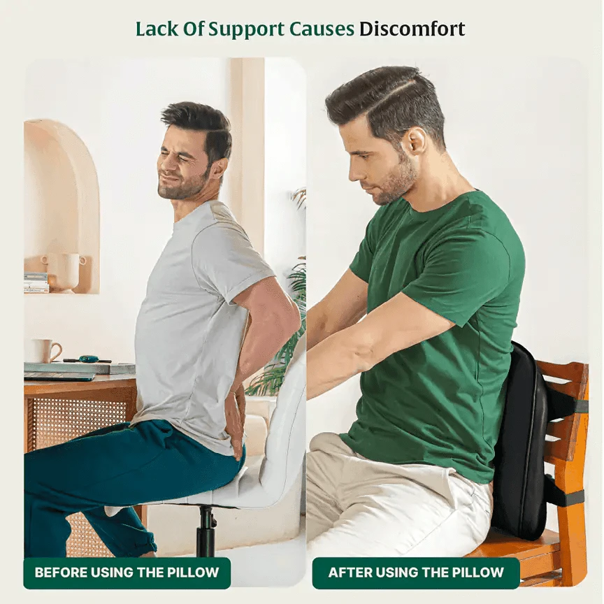 LowerEase Back Support Pillow Lumbar Back Support The White Willow 