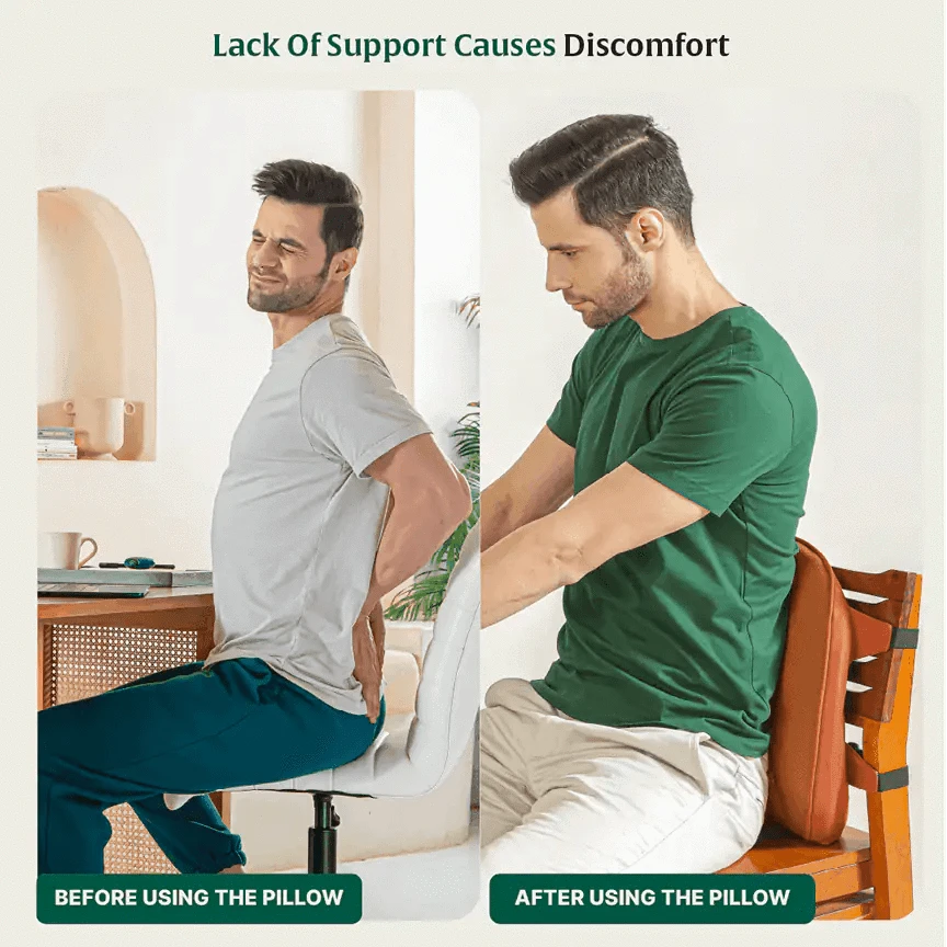 LowerEase Back Support Pillow Lumbar Back Support The White Willow 