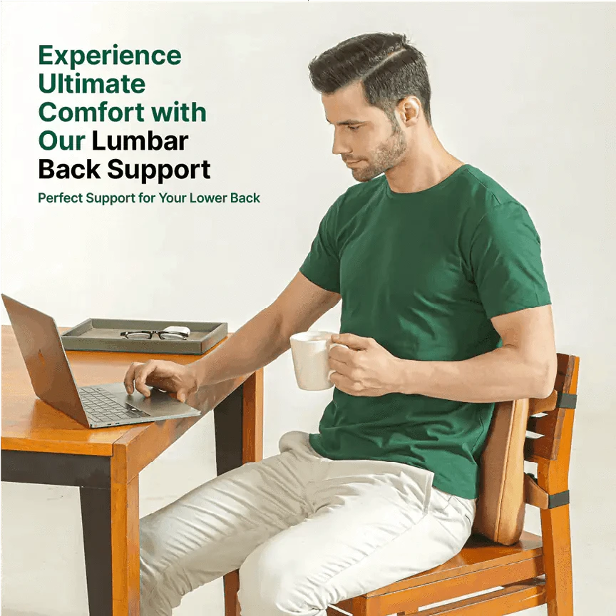 LowerEase Back Support Pillow Lumbar Back Support The White Willow 