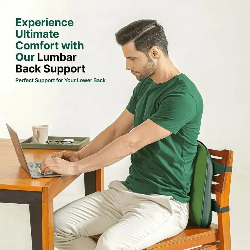LowerEase Back Support Pillow Lumbar Back Support The White Willow 