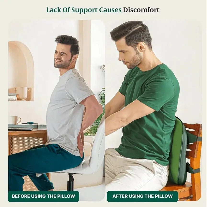 LowerEase Back Support Pillow Lumbar Back Support The White Willow 