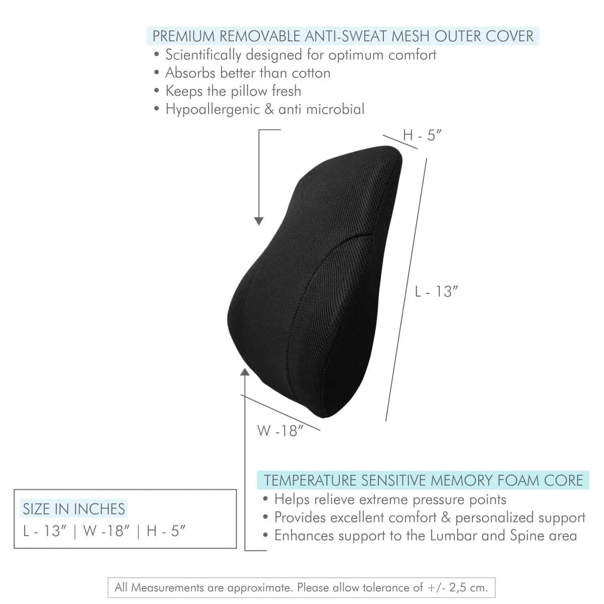 LowerEase Back Support Pillow Lumbar Back Support The White Willow 