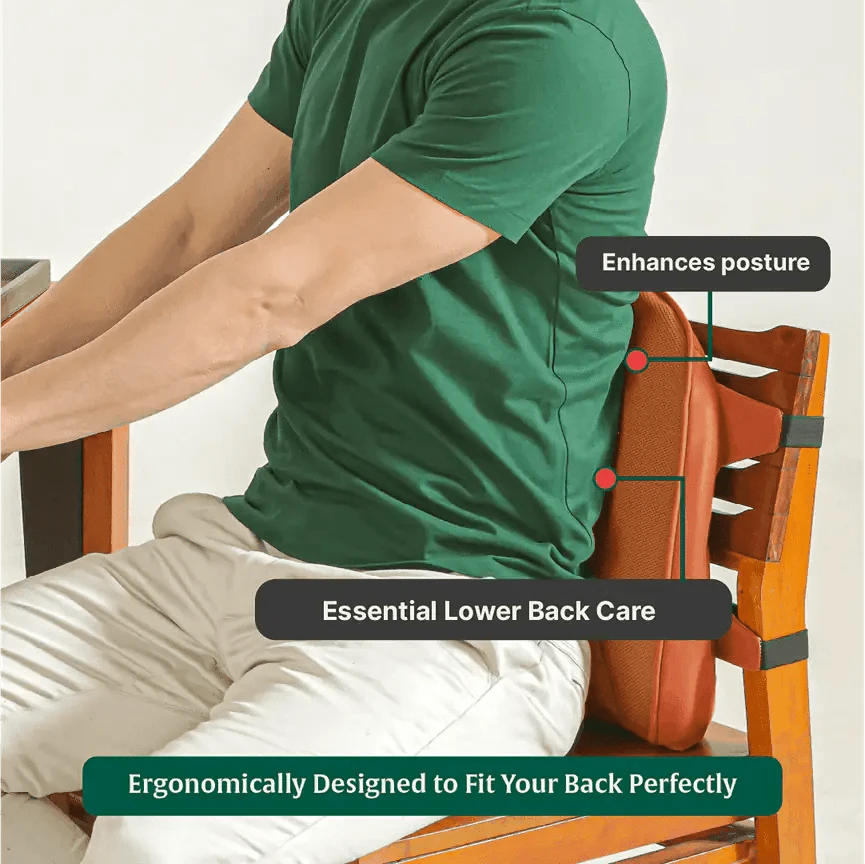 LowerEase Back Support Pillow Lumbar Back Support The White Willow 