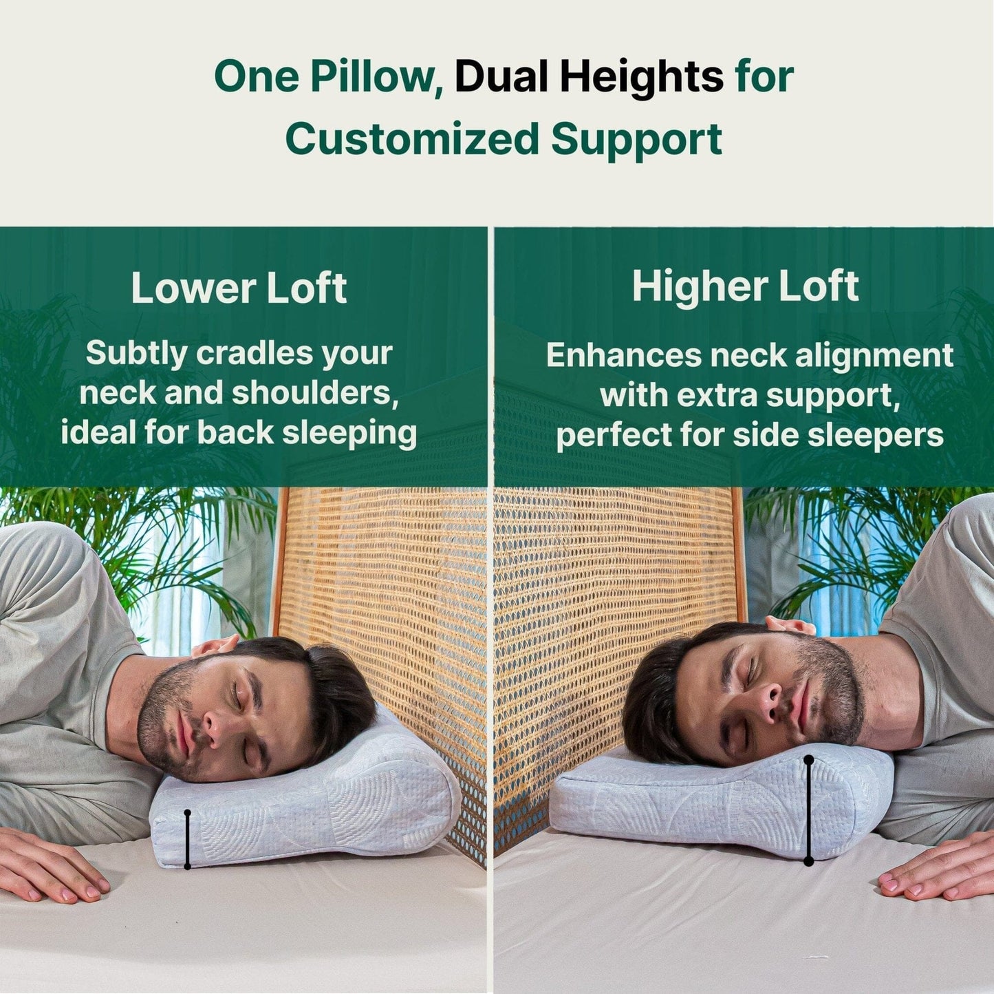 NeckFlex Dual Loft Cervical Alignment Pillow - Contour Pillow - The White Willow