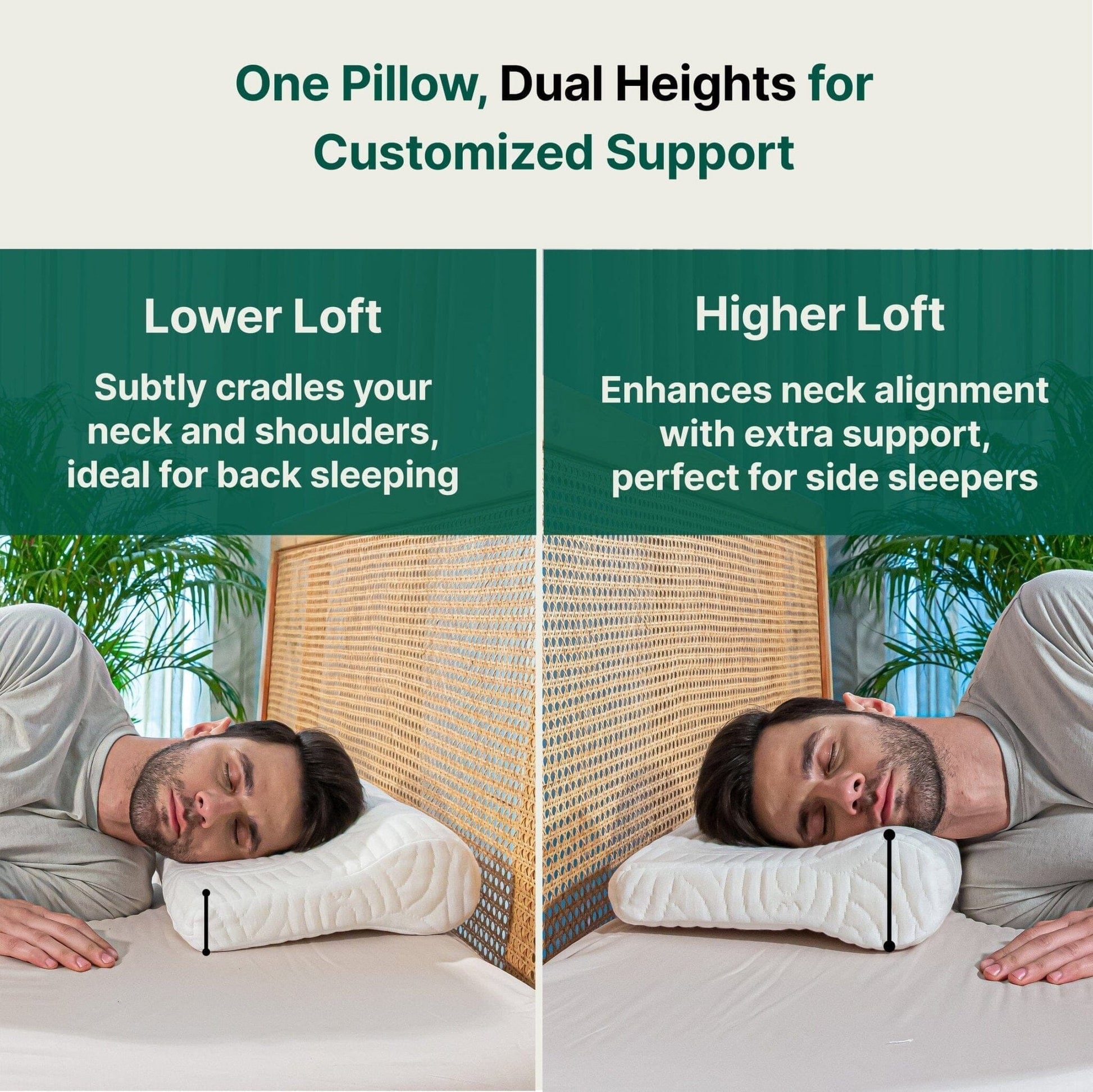 NeckFlex Dual Loft Cervical Alignment Pillow - Contour Pillow - The White Willow