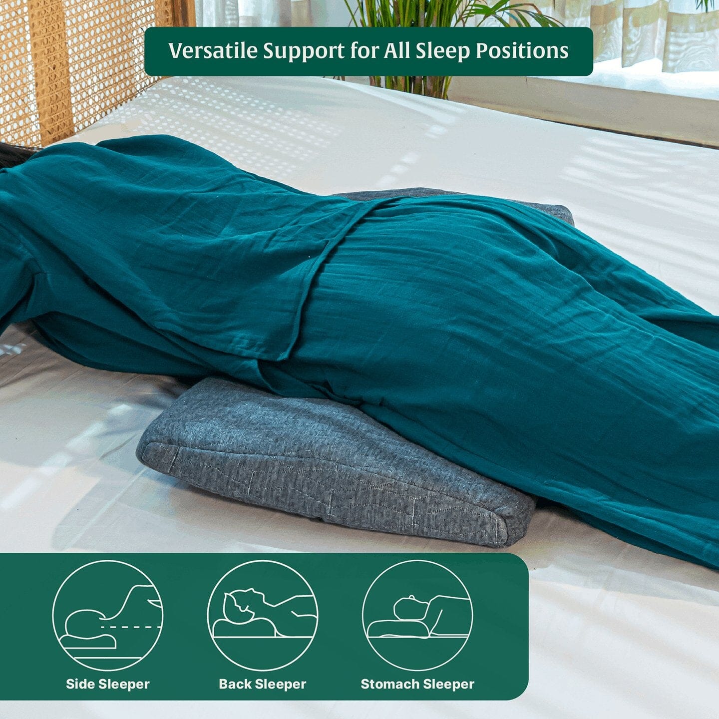 SpineAlign Support Pillow Speciality Pillow The White Willow 