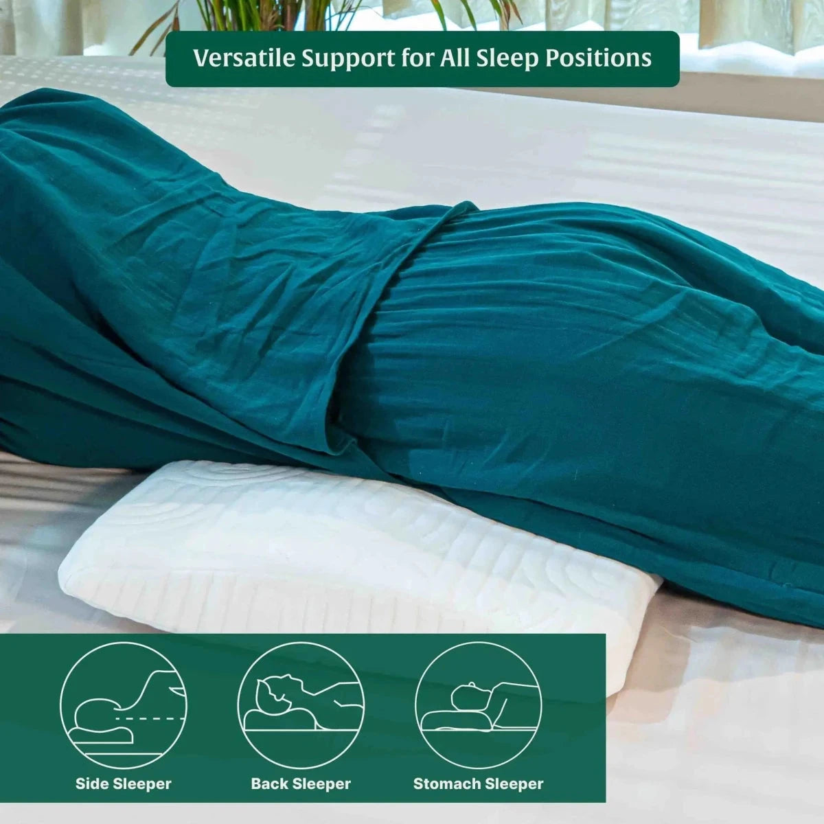 SpineAlign Support Pillow Speciality Pillow The White Willow 