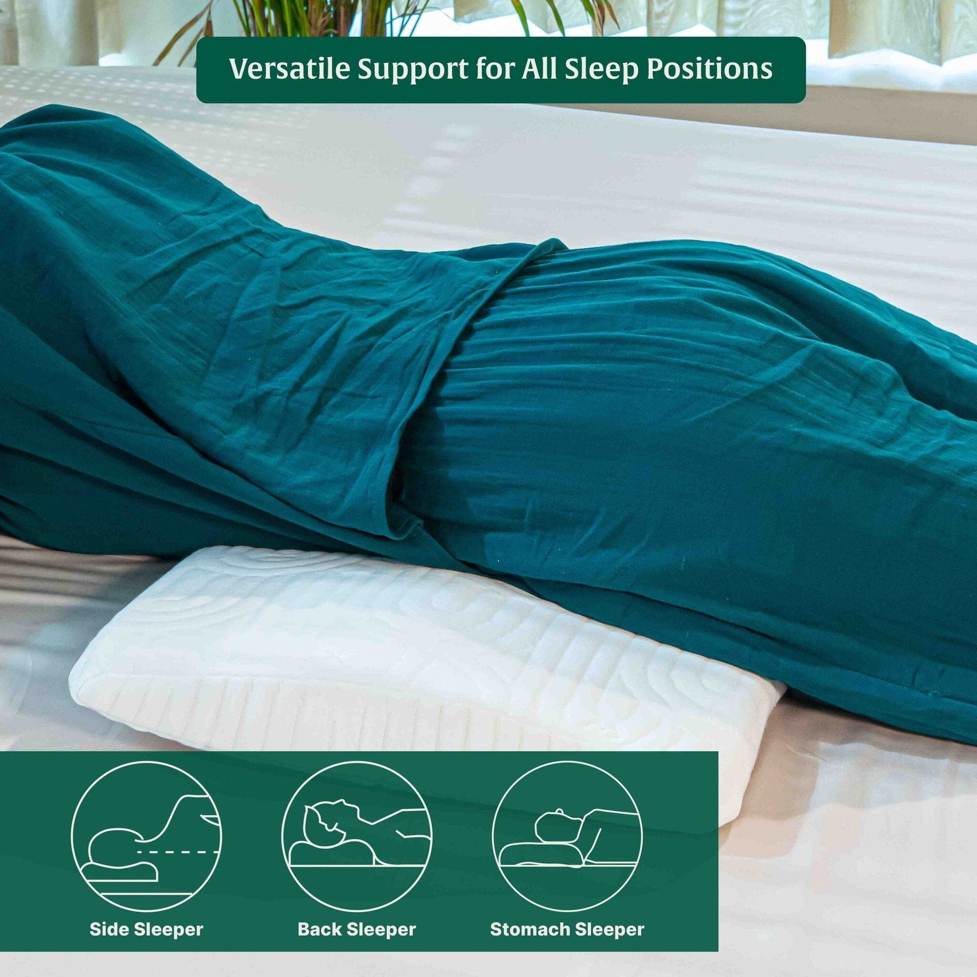 SpineAlign Support Pillow Speciality Pillow The White Willow 